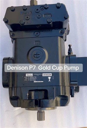 Parker Denison 2658607738 Gold Cup Pump P7 hydraulic pump #hydraulicpump #pump #hydraulic #pompahidrolik #bombahidraulica #pompa #parker #denison #excavatorparts #fyp #foryourpage #fypage
