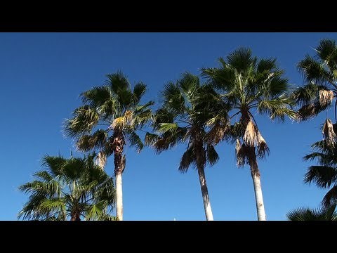 St Petersburg / Madeira Beach KOA Campground