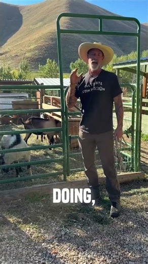 Hand Breeds Goats Safely & Effectively