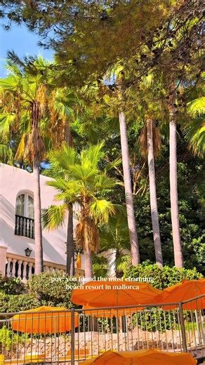 If ypu’re visiting mallorca I highly recommend @Hotel BonSol Resort & Spa so charming and amazing service #travel #mallorca #resort #spain #hotel