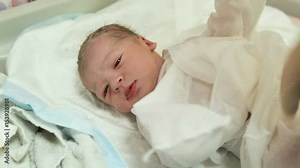 doctor puts a newborn with a clamp on the umbilical cord