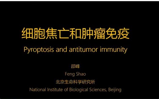 细胞焦亡和肿瘤免疫的新发现---邵峰