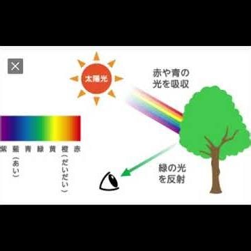 How We See Objects: We Are Looking at Reflected Light. The Spirit World Is Invisible Because It D...