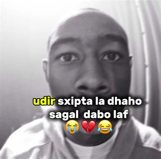 ‏dabo laf wayaeeeeeeeeeee😭😂#CapCut