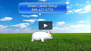 Configure Price Labels and Tags for Best Consignment Shop Software
