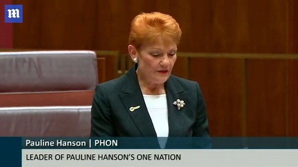 Penny Wong fails to explain what net zero means as Pauline Hanson