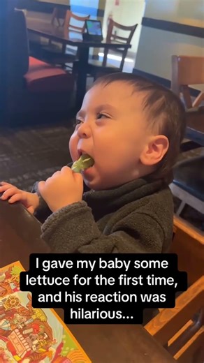 Pulled a classic prank—never fails to make people snort-laugh #funnyvideos #fyp #viral #Funny #Prank