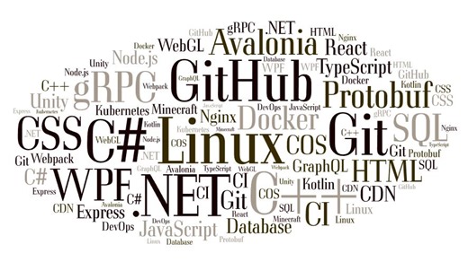 清华大学电子系科协软件部2025暑期培训