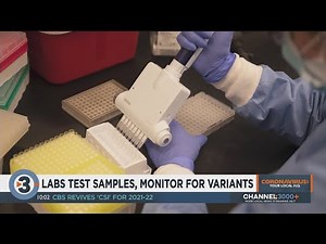 ‘Soon it’s going to be the most common thing we see’: Labs monitor coronavirus variants such