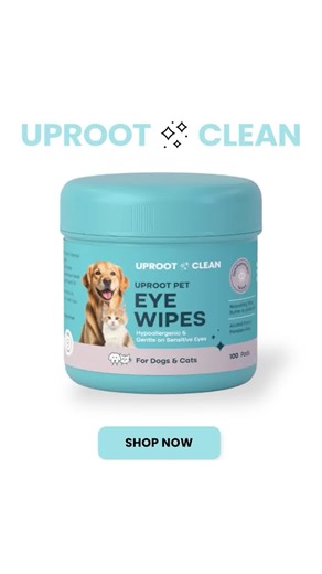 Do you notice gunk and discharge around your furry friend’s eyes? It’s not just unsightly; it can lead to irritation or worse, infections. Uproot Clean Eye Wipes make it easy to remove dirt, allergens, and discharge while being gentle on your pet’s sensitive skin. With ophthalmologist-tested and hypoallergenic ingredients, every wipe brings you peace of mind and a happier, healthier pet. No more stress, just easy, irritation-free eye care for your beloved pet. Try Uproot Clean Eye Wipes today an