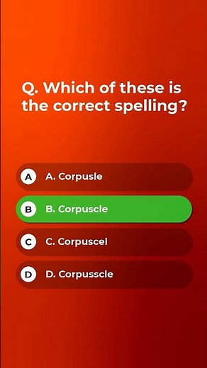 spelling bee quiz | phonics test your spelling skills | english spelling bee for grade 3