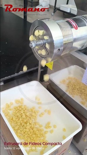 Extrusora de fideos compacta | hasta 12 variedades con una sola máquina