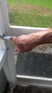 Replace screen door Latch and Closer