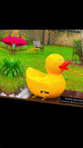 Vidéos de Espace Design (@espacedesign) avec Friendships - Pascal Letoublon