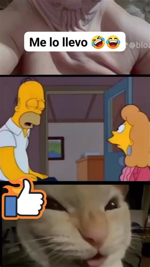 No lo tiene en rubio 😂🤣😂 | Jose Navarro