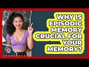 Why Is Episodic Memory Crucial For Your Memory? - The Everyday Why
