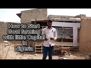 How to start Goat 🐐 farming with Little Capital in Nigeria