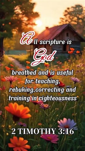 2 TIMOTHY 3:16 #bibleverse #church #biblestudy #biblequotes #quotes