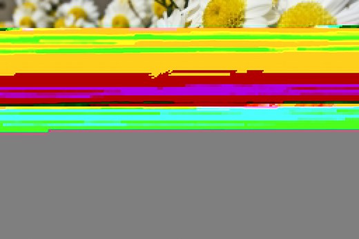 30 Question Quiz On How To Find Your Passion