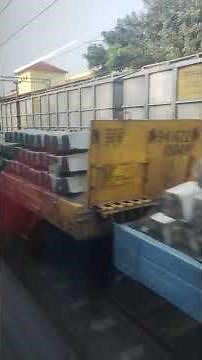 Crossing the 💙 Ace WAG12 #shorts #youtubeshorts