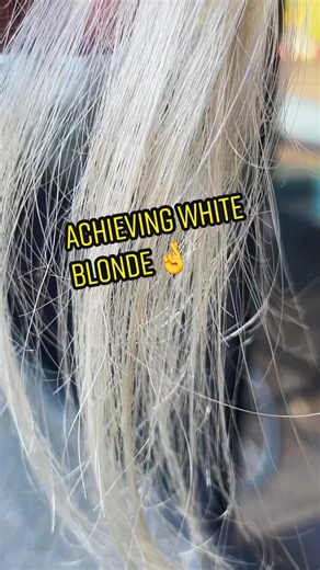 Transformative Wella 10/81 & 8/81 Hair Experiment