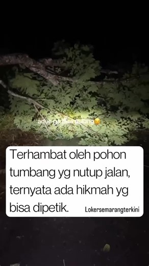 LOWONGAN KERJA SEMARANG on Instagram: "Dalam suatu kejadian memang lebih baik ambil hikmahnya saja😅 Follow @lokersemarangterkini biar ngga ketinggalan info loker terbaru dan terupdate tiap harinya ➖➖➖➖➖➖➖➖➖➖➖➖➖ ⏺Update loker terbaru dri daerahmu ➖➖➖➖➖➖➖➖ 🔛🔛Follow juga 👇 @infolokerkaranganyar @lokersoloterkini @lokerjakartaterkini @lokerpalembangaktual @infolokerpalembang.update @lokersukoharjo @lokersemarangterkini @infolokeryogyakarta @infocegatansolosukoharjo @lokersurabayaterupdate @loker