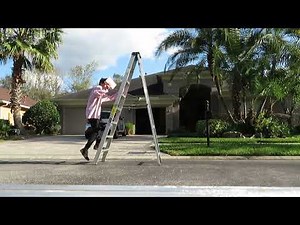 Simple Egg Drop Project Fast (Easy A Guaranteed!)