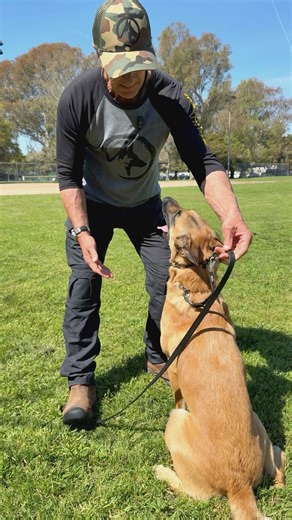 46K views · 1K reactions | If you’re going to use a prong collar...