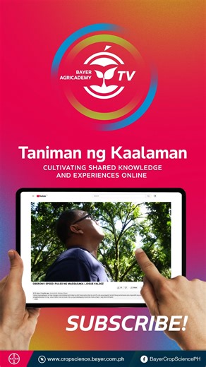 Mga ka-Bayer, nabisita mo na ba ang ating YouTube Channel-- ang Bayer Agricademy TV? Tara’t matuto at mag enjoy habang nanonood ng mga kwentong agri, pulso ng mga magsasaka, gabay sa pagtatanim, at mga videos patungkol sa mga produkto ng Bayer Crop Science. Mapa Crop Protection man yan o binhi, sagot na namin ang Agri-Kwento, Agri-Aral mo ka-saka! At Bayer Agricademy TV, we strive to uphold our mantra – Taniman ng Kaalaman; cultivating shared knowledge and farm experiences online. Ano pang hinih