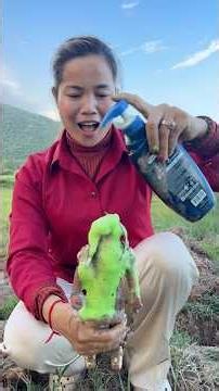 Survival Skills The shows and Useful SaveSOAP & Water#Outdoors #bushcraft#skills #survival #diy