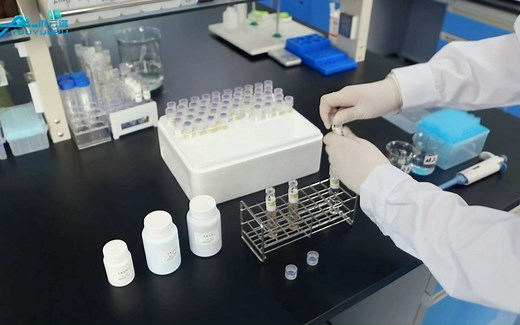 多参数水质检测仪快速测定总氮的详细操作流程