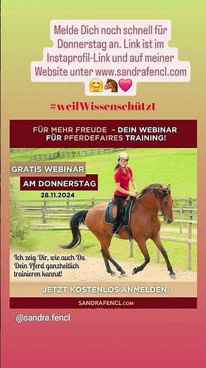 🐴😍✅ Melde Dich jetzt zum GRATIS Webinar am Donnerstag, den 28. 11. an! www.edudip.market/w/433529
