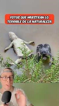 Photos that show the horrors of nature 😱 #shorts