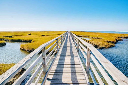 How to Experience Cape Cod Like a Local, With Charming Boutique Hotels, Fresh Seafood, and Stunning Ocean Views