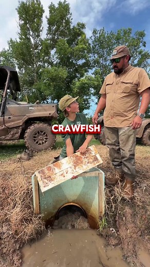 Crawfish Season 2026: Is It Still Crawfish Season in Louisiana?