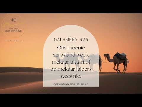 40 DAE VAN OORWINNING #15