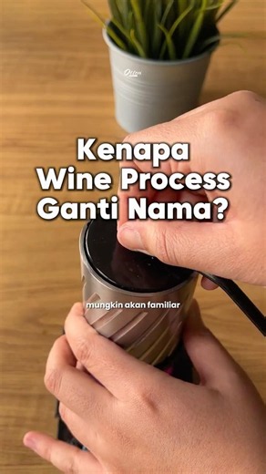 Kenapa wine process sekarang ganti nama? #coffeeprocess #acehgayo #kopiaceh #ottencoffee