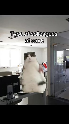 Types of colleagues at work 😂😂 | work life