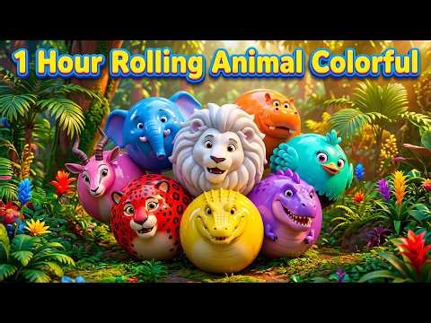 1 Hour Rolling Animal Colorful | Animal Colorful Songs | Zazzy Melody
