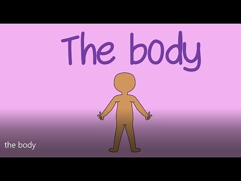 the body