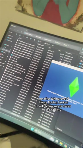 The Sims 4: Mod Folder Meltdown