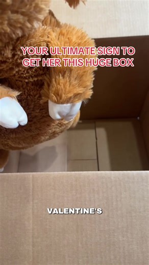 Giant Highland Cow Gift Box for Valentine's Day