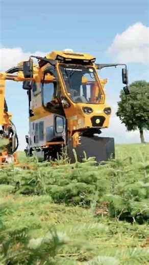 Transforming Agriculture! How the Robot Weeder Revolutionizes Soil Prep & Cultivation 🚀
