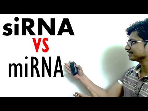 siRNA vs miRNA | The difference between mirna and sirna