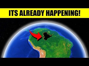 Do You Know What Is Hiding Under The Trees Of The Amazon Rainforest??..