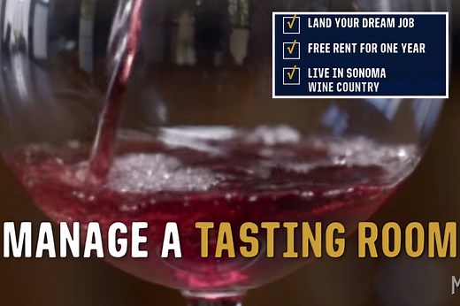 Dream job will pay you $10k a month to taste wine and live rent-free
