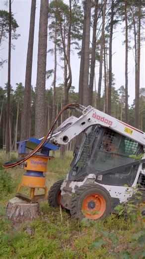 6.5K views · 53 reactions | Removing a stump with a skid steer #stumpgrinder #skidsteer #treeservice #landscaping #forestry #heavymachinery | Dipperfox | Facebook