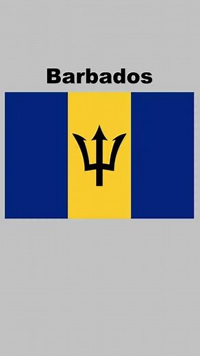 200 Flags in 40 Seconds! Find your Flag! #Shorts