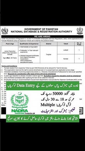 NADRA Junior Executive Data Entry Operator Jobs 2026