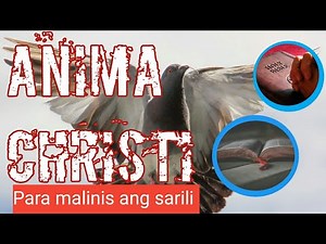 ANIMA CHRISTI (Prayer) |Tagalog at Latin